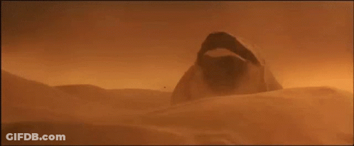 Person Standing In Desert With Open Mouth GIF