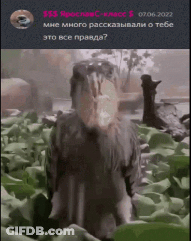 Person Standing In Field 07.06.2022 GIF