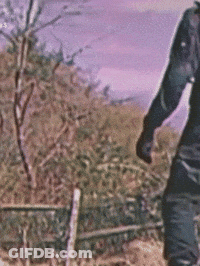 Person Standing In Field With Fence GIF