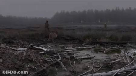 Person Standing In Field With Trees GIF