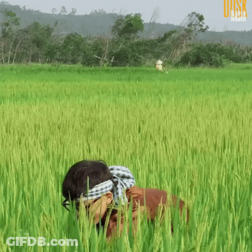Person Standing In Field With Word Disk GIF
