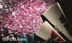 Person Standing In Front Of Cherry Blossom Tree GIF