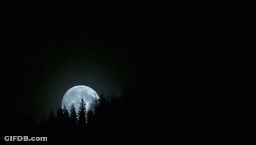 Person Standing In Front Of Crescent Moon GIF