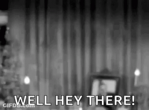 Person Standing In Front Of Curtain Saying Well Hey There GIF