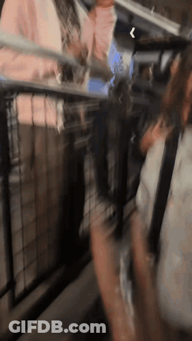 Person Standing In Front Of Fence GIF