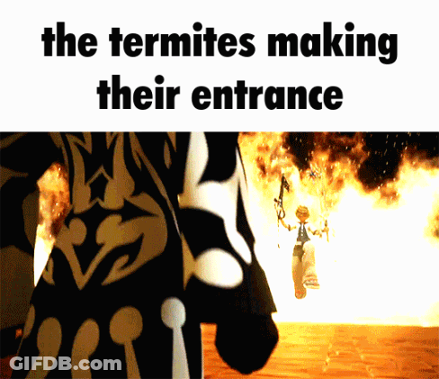 Person Standing In Front Of Fire GIF