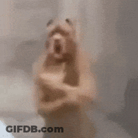 Person Standing In Front Of Glass Door GIF