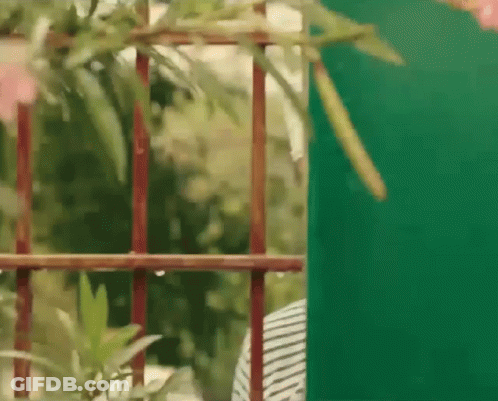 Person Standing In Front Of Green And Red Fence GIF