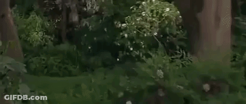 Person Standing In Front Of Green And Red Fence GIF