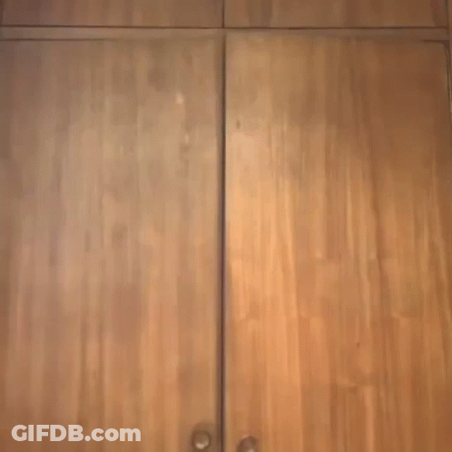 Person Standing In Front Of Wooden Closet Door GIF