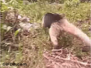 Person Standing In Grass With Feet Up GIF