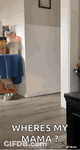 Person Standing In Hallway With Where's My Mama GIF