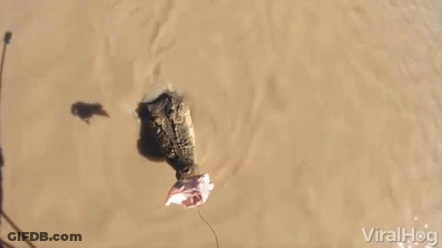 Person Standing In Muddy Area GIF