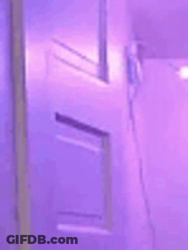 Person Standing In Purple Room With Purple Door GIF