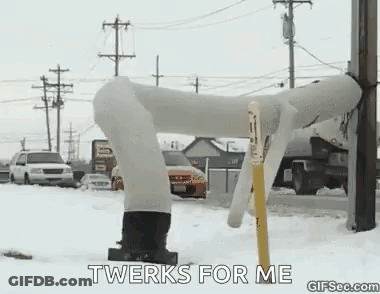 Person Standing In Snow With Twerks For Me Sign GIF