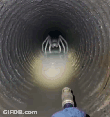 Person Standing In Tunnel With Spider GIF