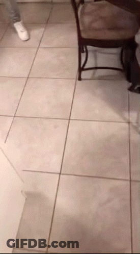 Person Standing Next To Chair GIF