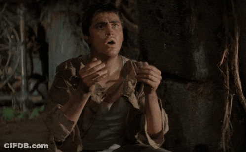 Person Standing Next To Dog On Hind Legs GIF