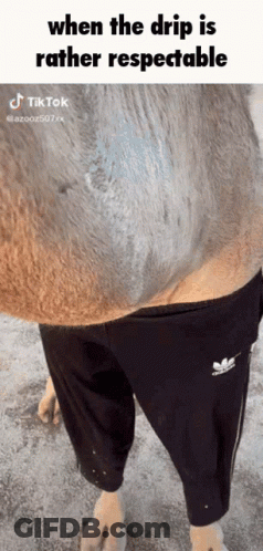 Person Standing Next To Dripsec 100 Sign GIF