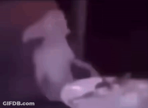 Person Standing Next To Food Bowl GIF