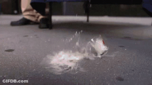 Person Standing Next To Thrown Can GIF