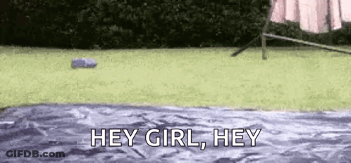Person Standing On Blanket In Yard With Water Bottle GIF