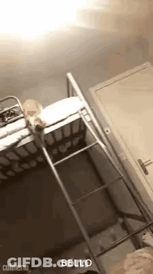 Person Standing On Bunk Bed With Ladder GIF