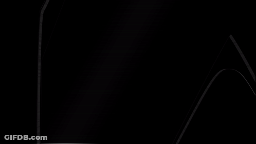Person Standing On Bunk Bed With Ladder GIF
