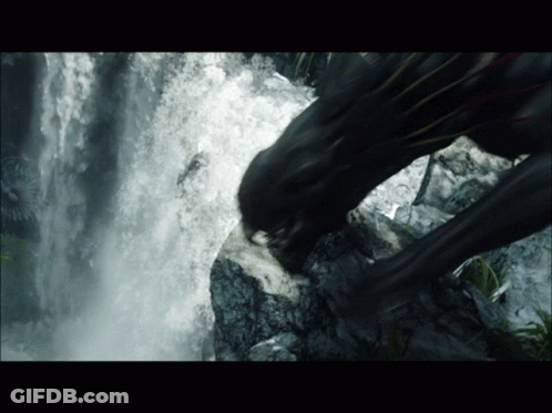 Person Standing On Rock Near Waterfall GIF
