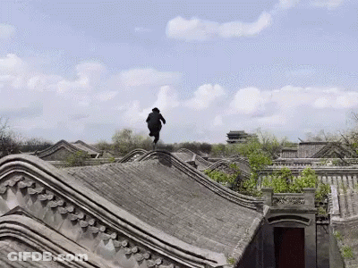 Person Standing On Roof In City GIF