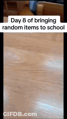 Person Standing On Wooden Table Day 8 Of Bringing Random Items To School GIF