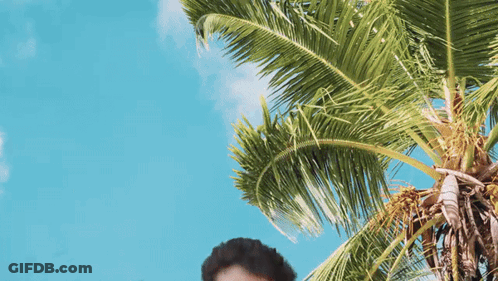 Person Standing Under Palm Tree GIF