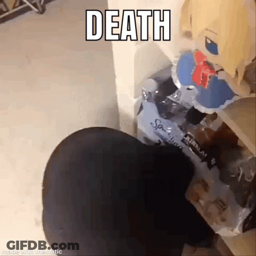 Person Standing With Stuffed Animal And Soda GIF