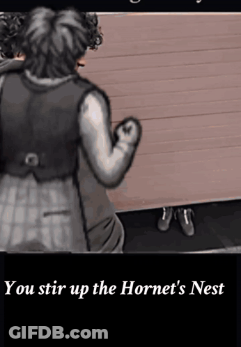 Person Stirring Up The Hornet's Nest GIF