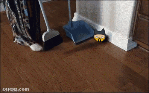 Person Sweeping Floor With Broom And Scoop GIF