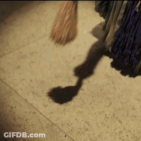 Person Sweeping Floor With Broom Casting Shadow GIF