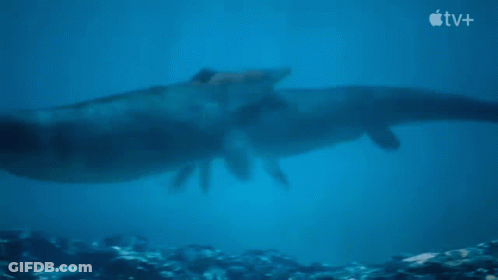 Person Swimming In Ocean With Apple TV+ Logo GIF