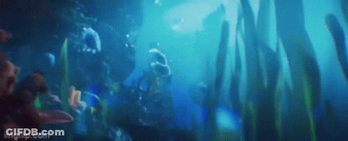 Person Swimming In Ocean With Seaweed And Fish GIF