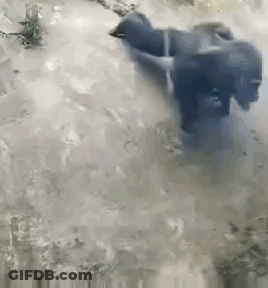Person Swimming In Pool GIF