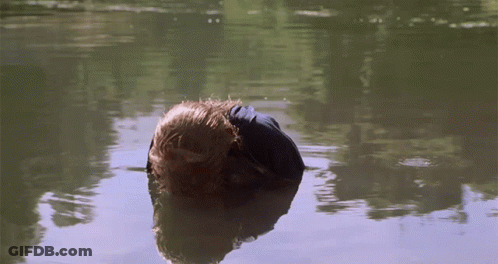 Person Swimming With Head Underwater GIF