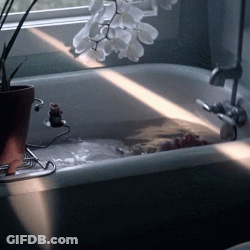 Person Taking Bath In Bathtub With Potted Plant GIF