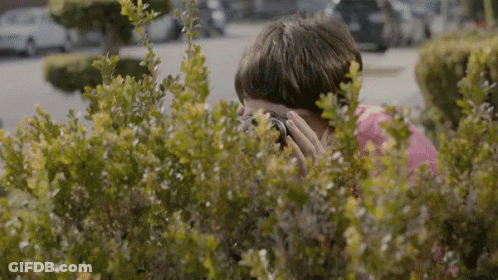Person Taking Photo Behind Bushes GIF