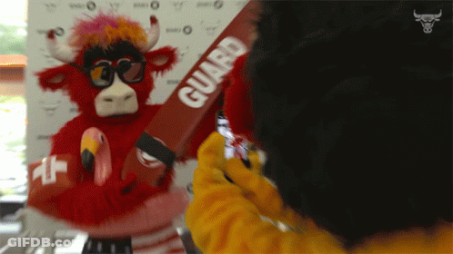 Person Taking Picture Of Bull Mascot Holding Life Preserver GIF