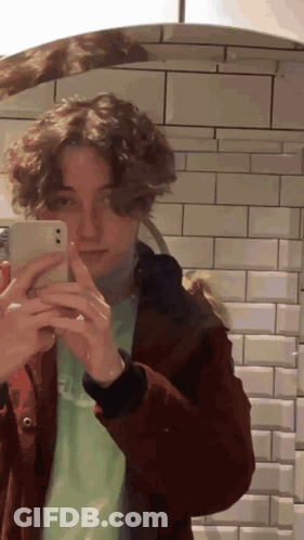Person Taking Selfie In Mirror GIF