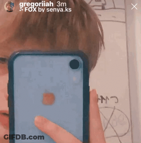 Person Taking Selfie With Phone Gregoriah GIF