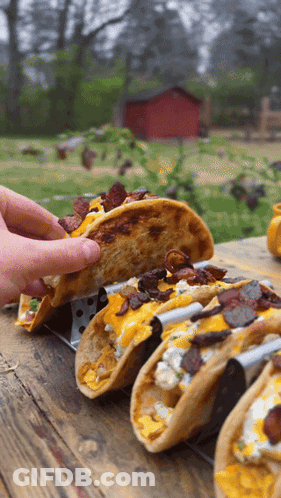 Person Taking Taco Out Of Container GIF