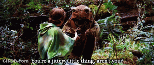 Person Talking To Bear Jittery Little Thing GIF