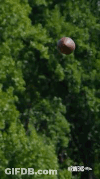 Person Throwing Football In The Air GIF