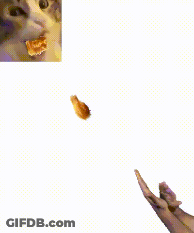 Person Throwing Fried Chicken Into Air GIF