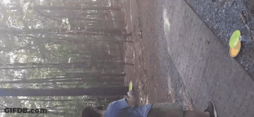 Person Throwing Frisbee On Dirt Path In Woods GIF